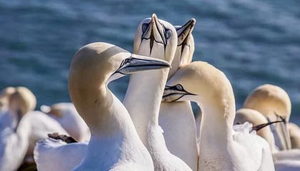 九游游戏中心官网-女足比赛中，中国队员李某表现出色，助球队取胜，中国女足队员李影