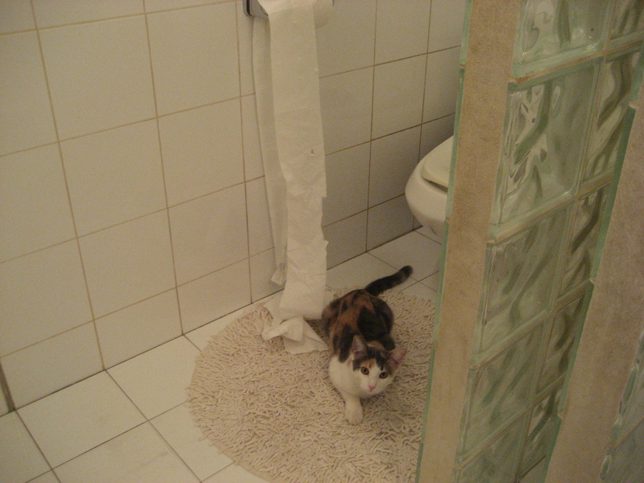 Jiuyou-世界女子足球联赛季后赛：中国俱乐部强势出击，女子世界足球锦标赛