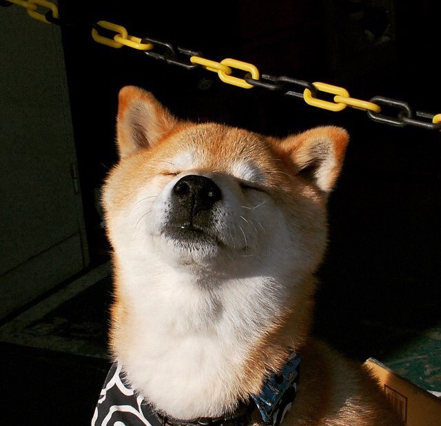 印度亚运奖牌数首次突破100枚，创历史新高。，印度奖牌情况