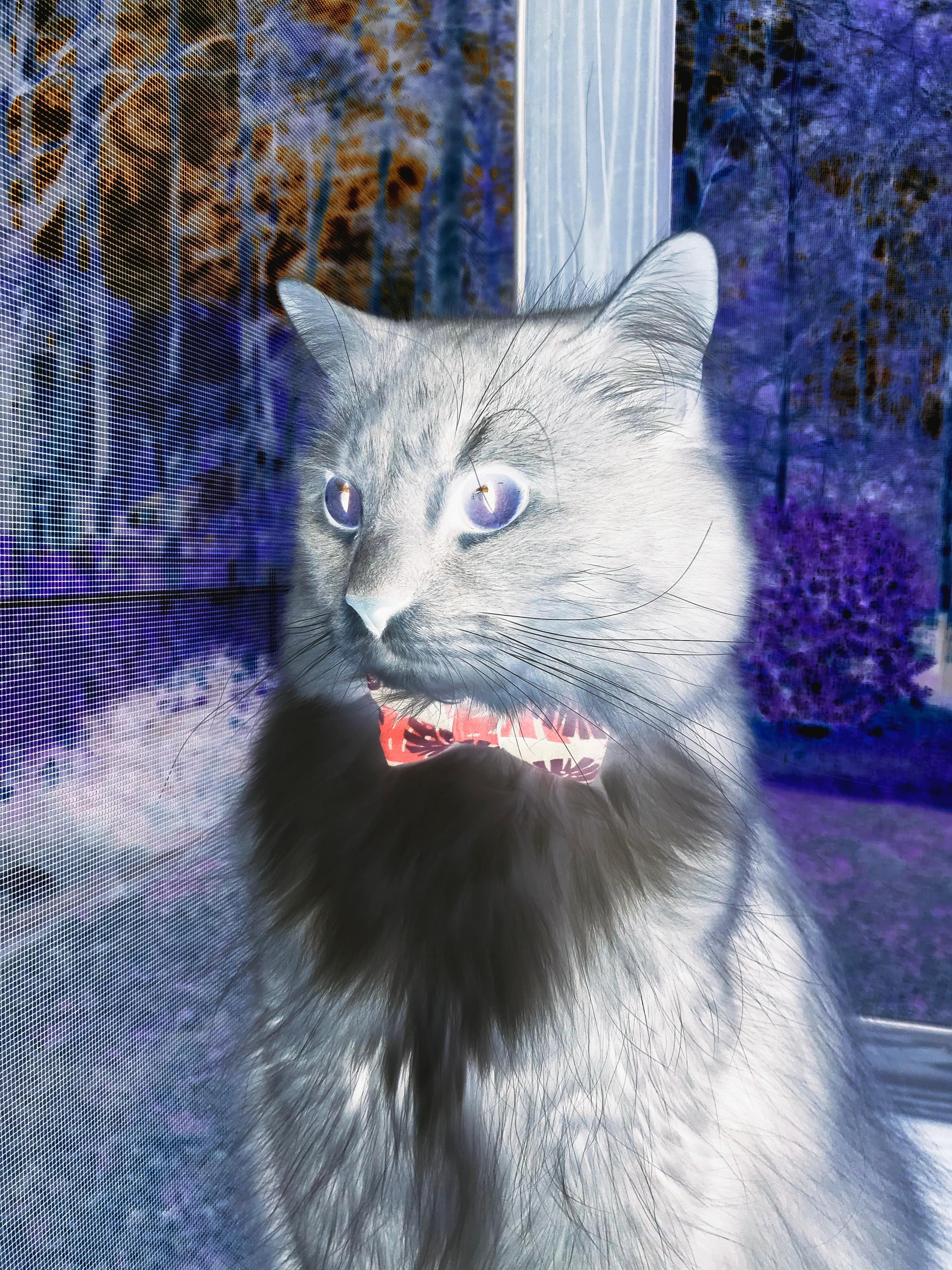 九游app官网下载-青少年篮球“百人百校”助力行动在湖南全面展开，湖南省青少年篮球