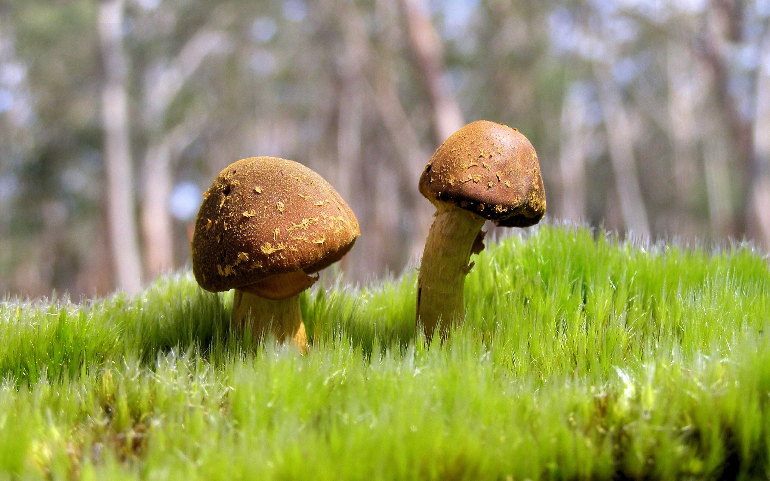 九游娱乐官网 (jiuyou)-女性瑜伽课程受欢迎，提升女性健康意识，女性专题瑜伽