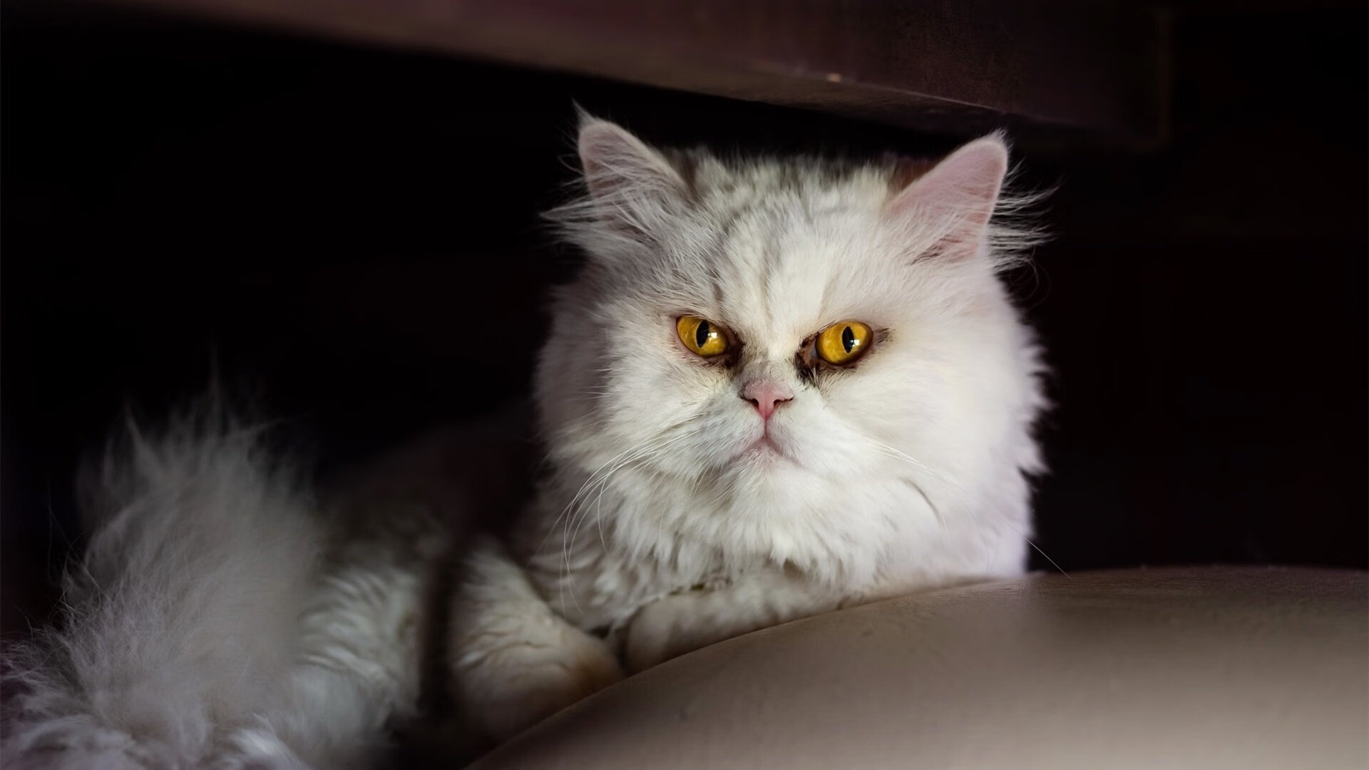 九游网游官网-新闻发布！球队重要轮换球员受伤，需调整战术，球队换人