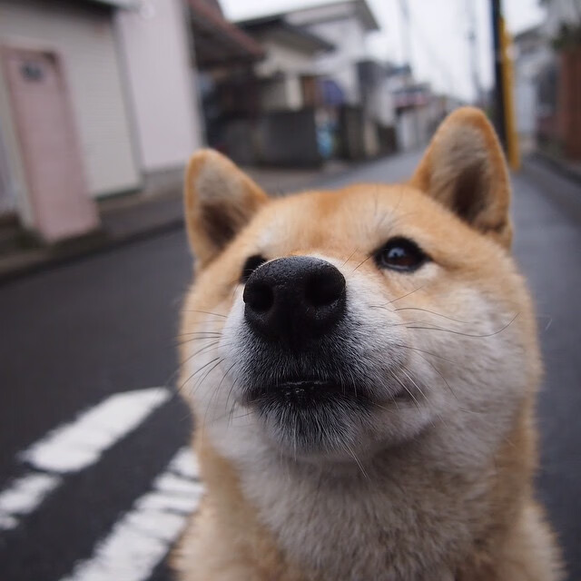 九游登录中心-皇马点球大战淘汰曼城，晋级欧冠四强，皇马点球胜马竞