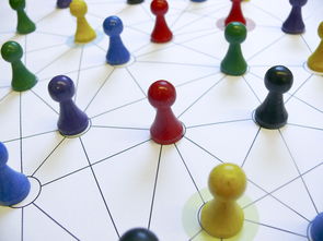 九游网页版官网入口-中国篮球教练员战术执行力提升路径分析，中国篮球教练员等级划分标准