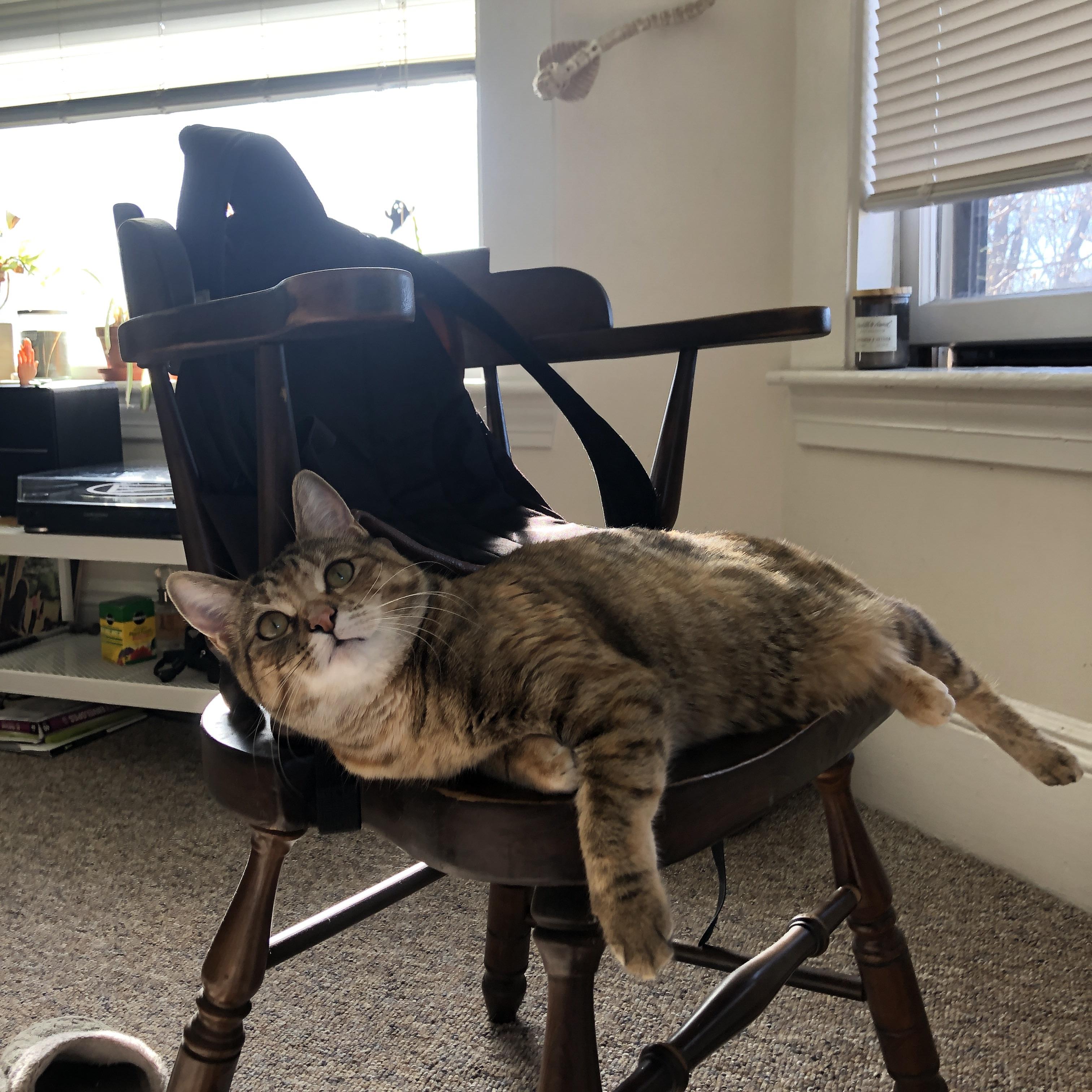 九游APP官网-“高新区全民健身馆：壁球的秘密，击球背后是百秒的决战！”