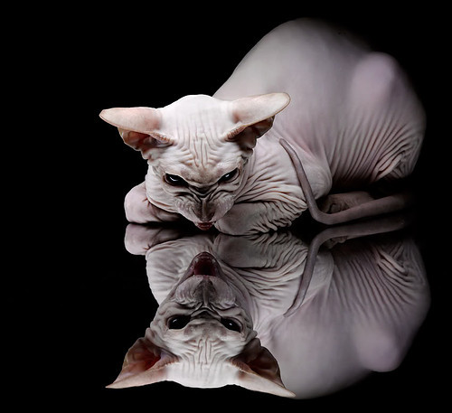 九游sports-中国女篮打造多点进攻打破对手包夹，中国女篮打球