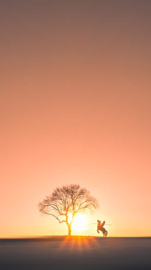 九游游戏中心官网-体育新闻中心发布体育新闻传播新趋势分析，体育新闻传播的特点