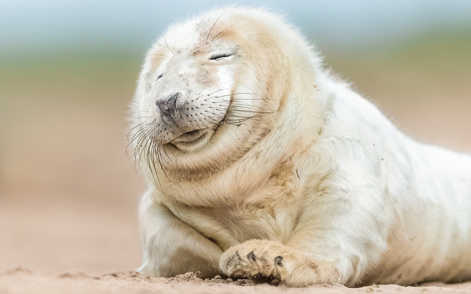 Jiuyou-德甲战文化：速度与力量的极致结合，德甲冲刺速度