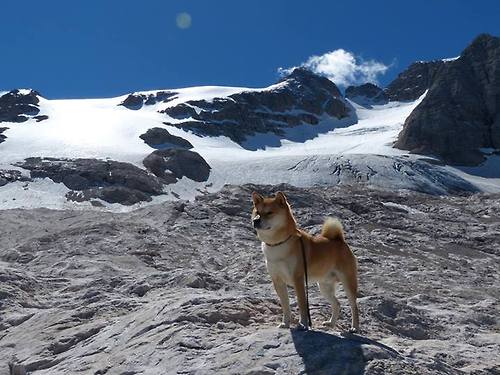 九游网页版入口-曼联主场球迷齐声高唱队歌壮行，曼联队歌现场版